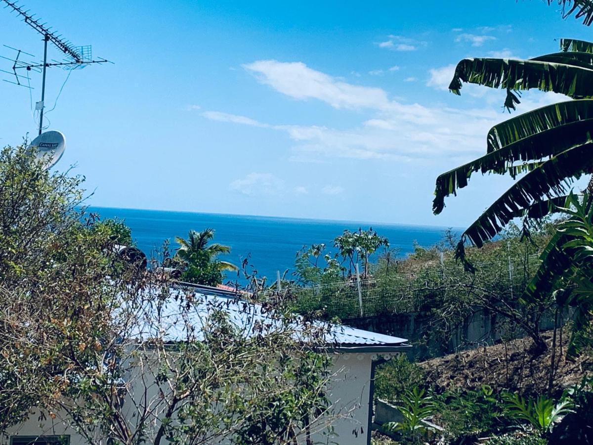 Bungalow Les Cerisiers 波尔兰特 外观 照片